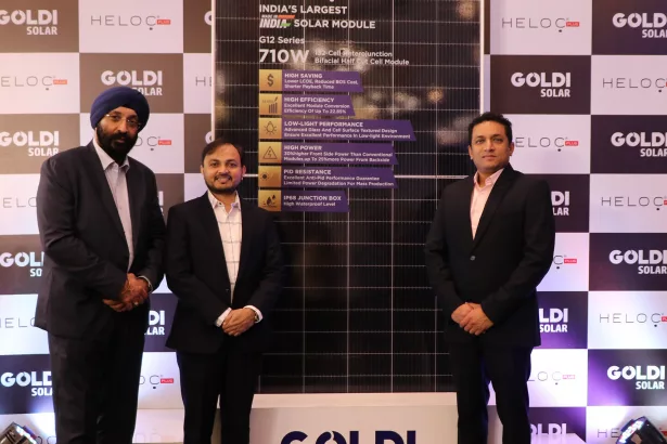 Goldi Featured