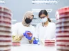 Innoquest Feature