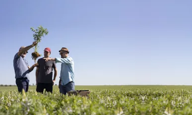 Wide Open Agriculture Featured