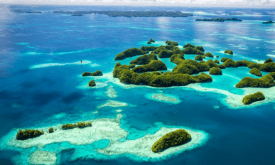 Business travel: A guide to Palau