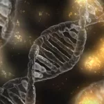 Expert Eye: Why stem cells are at the heart of medical innovation