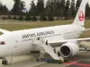 Profits fall at Japan Airlines