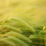 Why businesses must get corporate social responsibility right